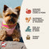 Fromm Four-Star Dry Dog Food - Lamb & Lentil - 4lb Bag